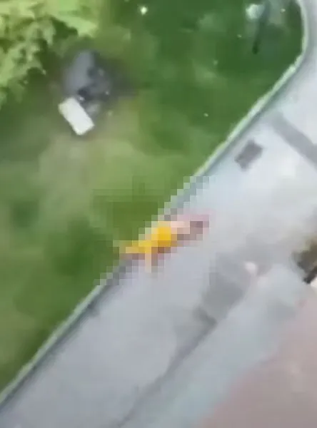 金髮男不支墜落地面。翻攝自推特