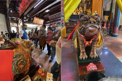 鏟屎官忍住!虎爺被當貓咪狂擼 台南興濟宮公告「畢竟我是神明」