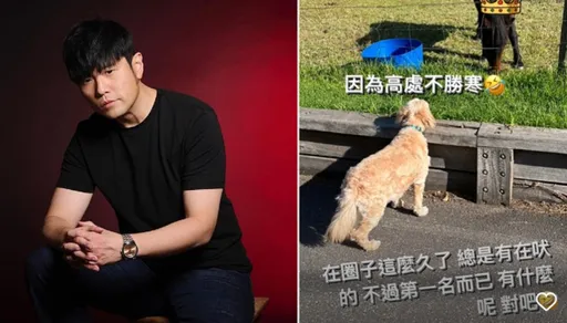 周杰倫自誇「已經第一名要怎麼變」 被酸民攻擊無奈回嗆「總是有在吠的」