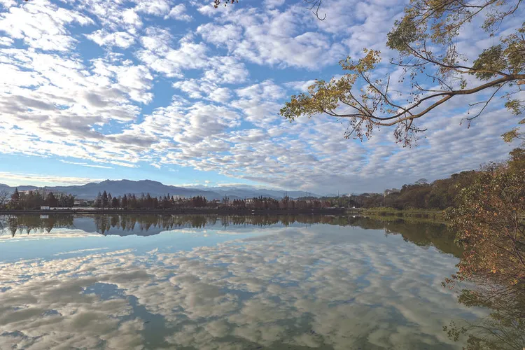 霄裡大池。桃園市府提供