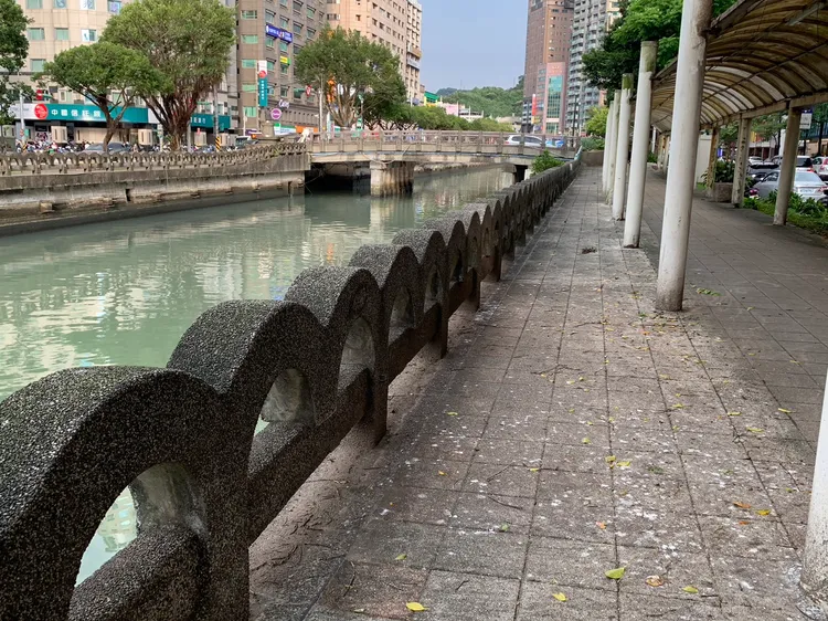 人行道上也佈滿密密麻麻的鳥屎。葉先鵬攝