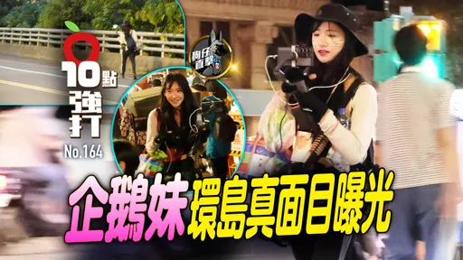 壹蘋10點強打|企鵝妹環島真面目曝光 大膽穿梭暗巷 看煙火公園嗑飯(狗仔直擊)
