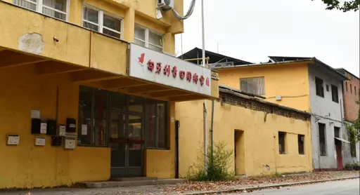 北京的保證不可靠 德國:中國海外警局仍在活動