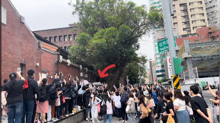 厲旭抵達撐傘進場，粉絲包圍拿手機搶拍。陳薇安攝