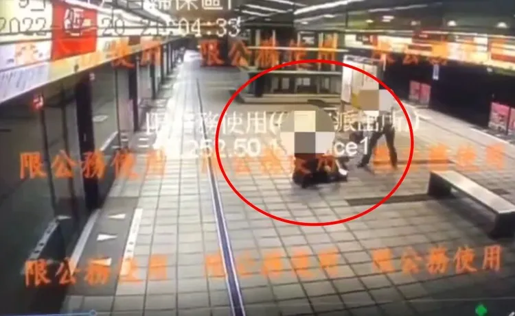 許男將女子壓在地上襲胸。翻攝畫面