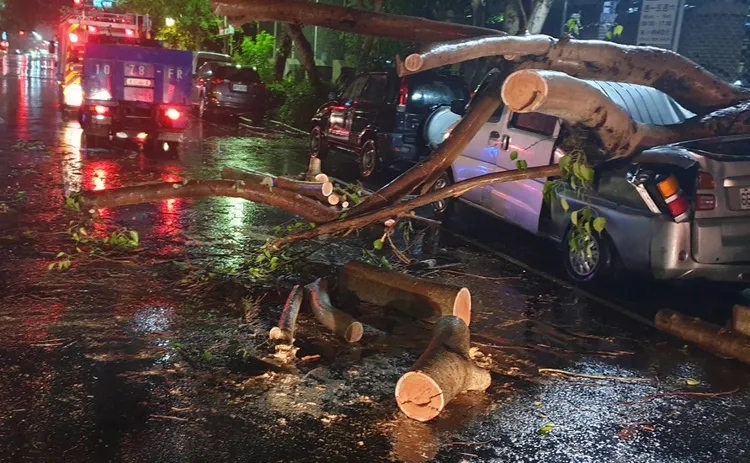 停在路邊的箱型車，車頂被倒塌的路樹壓毀。翻攝畫面