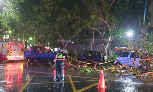 雨炸北台!北市多處路樹倒塌 壓毀3車釀1傷