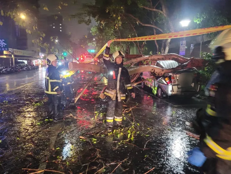 消防人員鋸斷倒塌的路樹。翻攝畫面