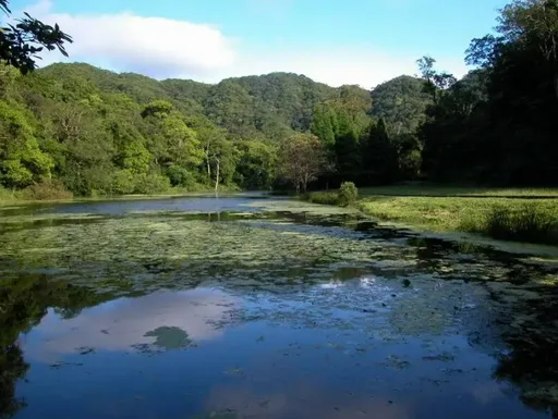 福山植物園接炸彈恐嚇信 又是他幹的!「追求學妹遭拒」連犯30案