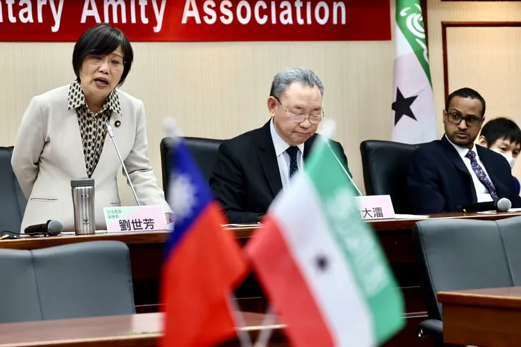 劉世芳說，索馬利蘭拒絕中國的堅持民主精神令人感動。林林攝