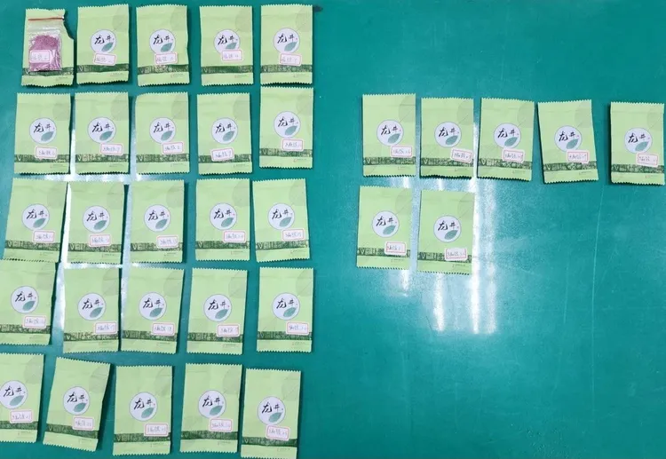 警方查扣的毒品。翻攝畫面