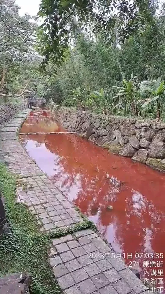 內湖內溝溪被染成紅色。引自游淑慧臉書