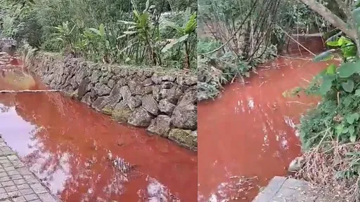 另類新景點？內湖內溝溪成「血色河流」　太詭異意外讓網驚喊：有點浪漫