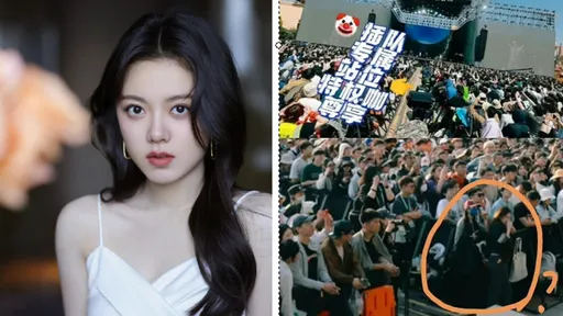 陸劇女星太愛告五人卡位看音樂節 被網友狠批搞特權
