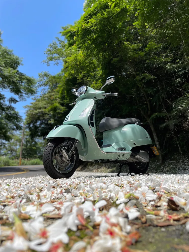 在春末初夏季節，路旁的油桐花樹，已將枯燥的柏油路面鋪上一層雪白的碎花地毯。林浩昇攝林浩昇攝