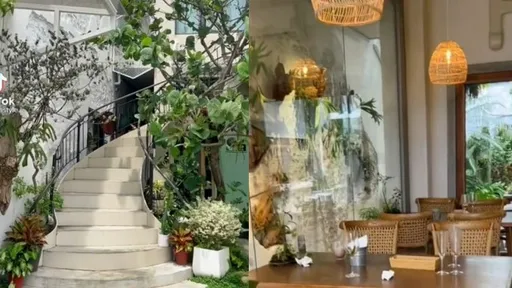 植物系咖啡廳!被綠意包圍超夢幻 一走進被療癒了