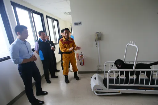 北市搜救犬國內外戰功顯赫 蔣萬安視察訓練基地肯定優異表現
