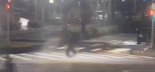 女保險業務員闖紅燈過馬路　「阿爾法」閃避不及撞飛！傷重不治