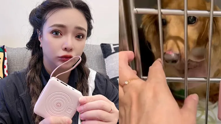 宋晉賢PO出狗狗住院影片，稱女生說話聲與戴戒指的手，都與小甜甜吻合。翻攝宋晉賢臉書、小甜甜臉書