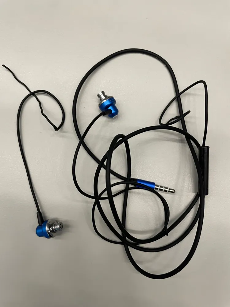 陳男當下聽音樂的耳機，也在壓制過程中被警方扯斷。陳男提供