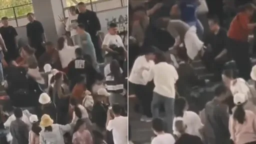 笑死!人類遊客「幹架給動物看」 網譏:這才是真的動物表演