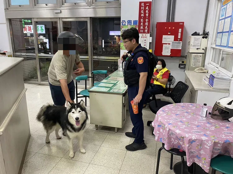 邱姓飼主到派出所領回哈士奇「money」。讀者提供