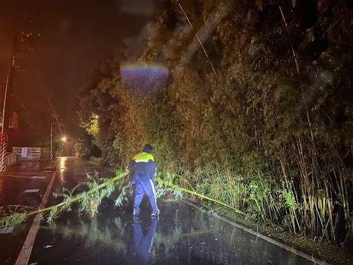 豪雨釀整排竹林倒塌　龍潭警深夜冒雨鋸竹維護用路安全