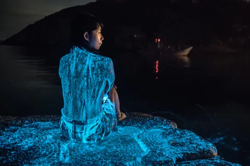 「藍眼淚納美人」震撼畫面曝 破壞生態?海大教授曝真相