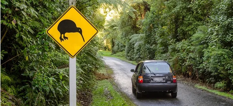 翻攝紐西蘭環保局網站