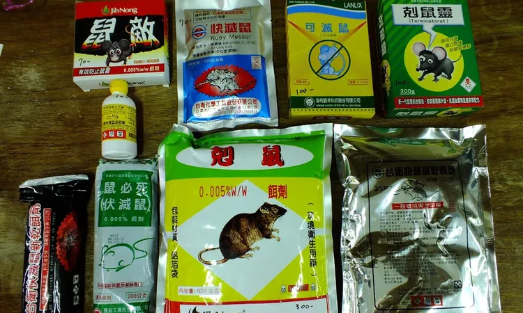 市售各種鼠藥。屏科大鳥類生態研究室提供