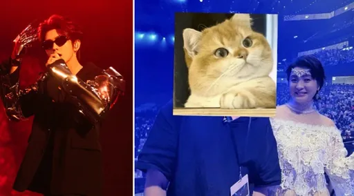 黃牛秀合照炫耀被蔡徐坤媽媽邀看演唱會 真相揭開網友炸了