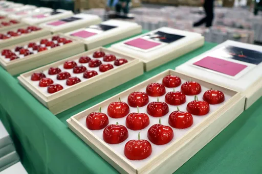 貴森森!日本青森櫻桃單顆7000元 一口可抵50個便當