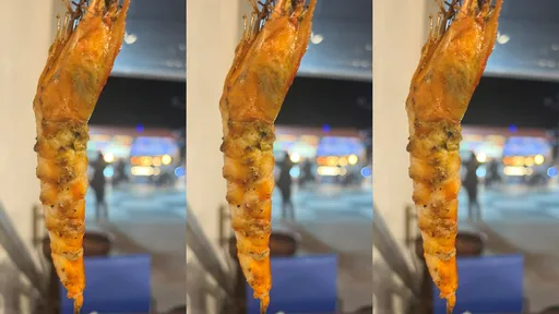 花蓮「東大門夜市」蝦子5隻260元 環島男哀號!網看這句話笑了:沒錯啊