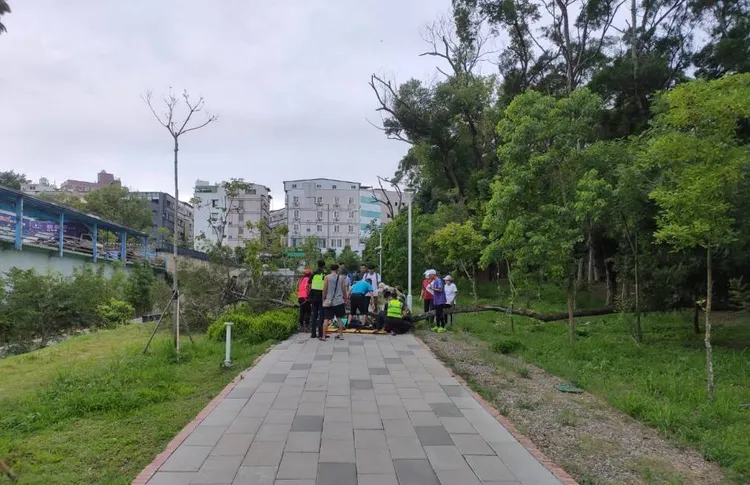 東海大學樹木倒塌，造成1名前往晨運的婦人被壓傷，送醫不治。民眾提供