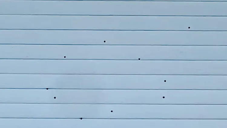 店面鐵門有好幾個彈孔。讀者提供