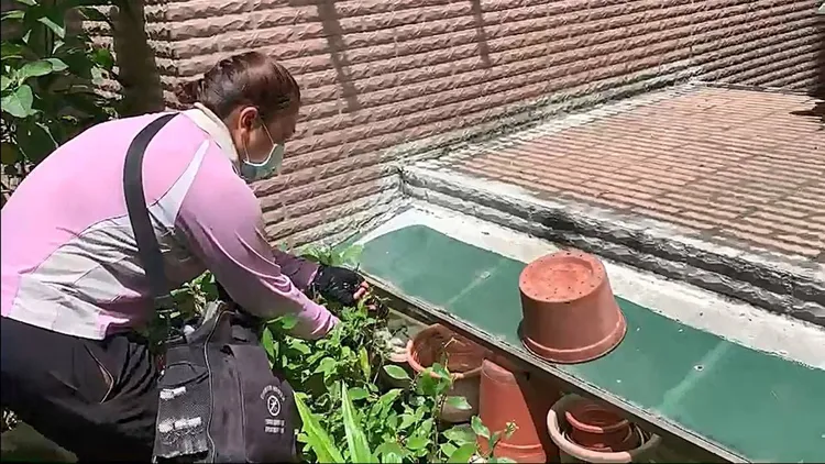 市府呼籲市民要落實「巡、倒、清、刷」。衛生局提供