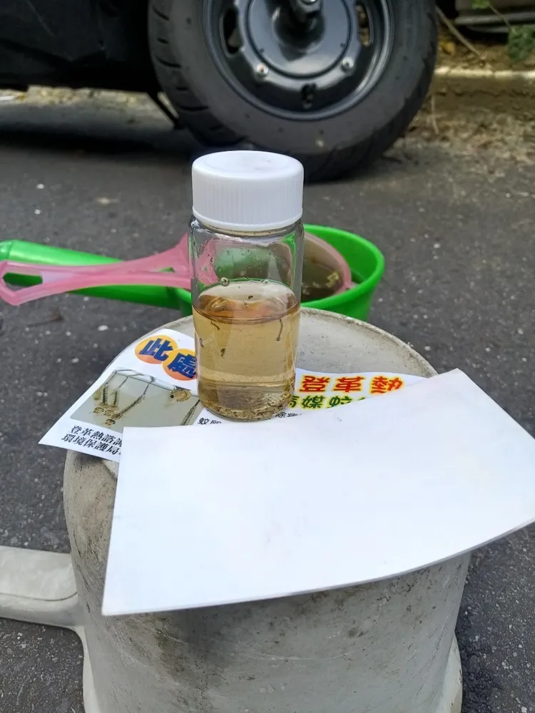 病媒蚊孑孓。市府提供