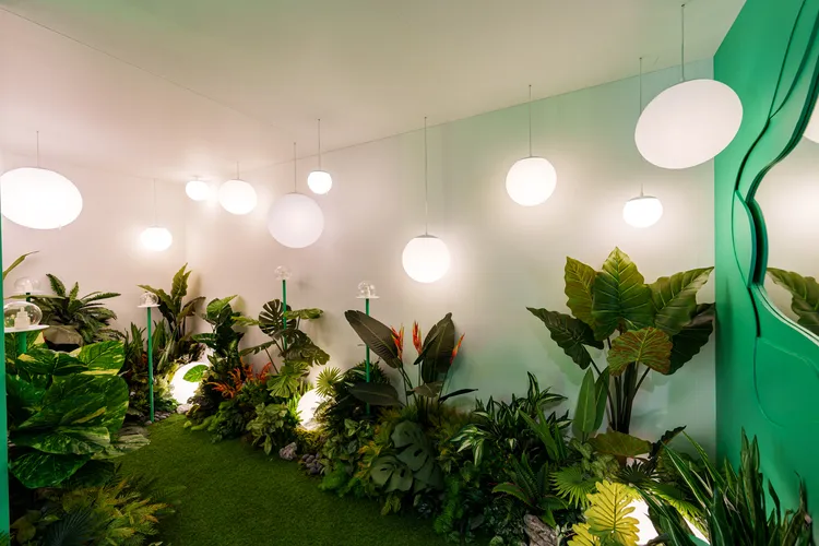 能量之光區。張家玲攝