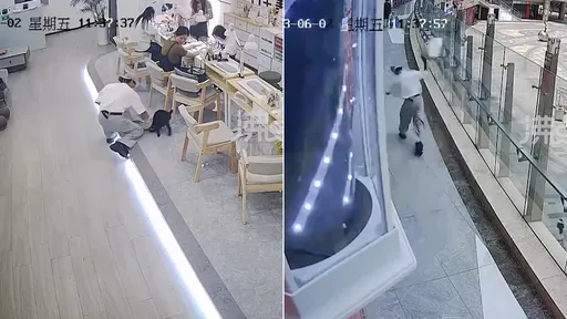 小狗进店1分钟被活活摔死　女店员「想吃狗肉」男同事立即行凶