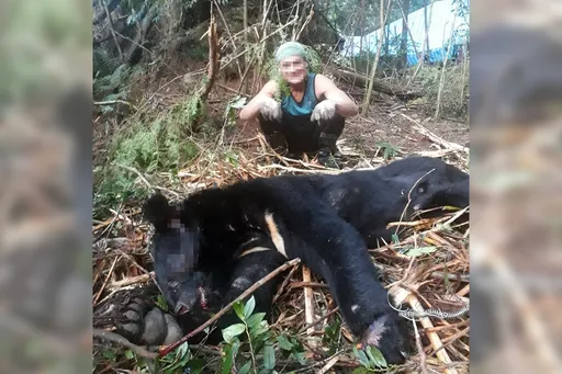 山老鼠獵殺台灣黑熊!殘忍合影再吃光 交保後失聯病死山林