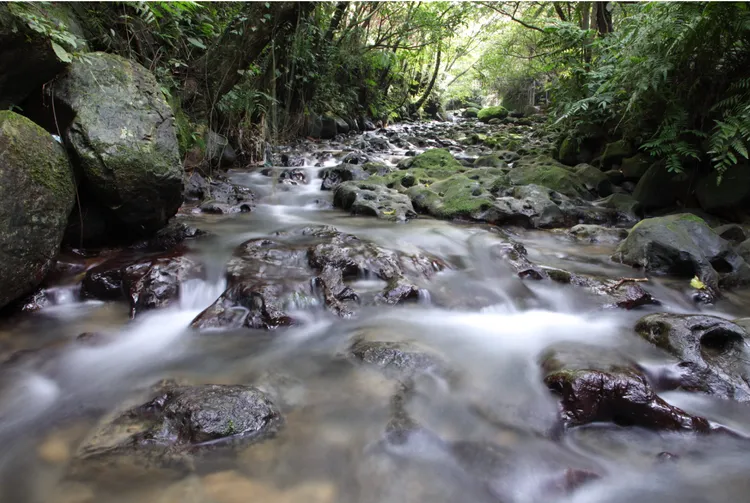 壺穴吊橋下方被水窪長期侵蝕的「壺穴」地形。觀傳局提供