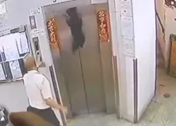 狠飼主不等狗就按電梯上樓 雪納瑞差點被吊死