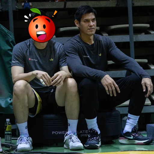 楊敬敏偷吃燒到隊友 球員遭影射「約跑」爆氣:蒐證提告!