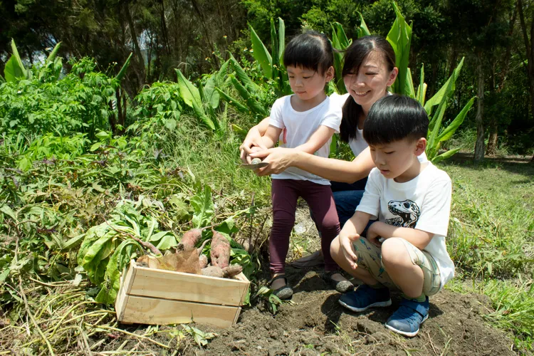 圖為秧悅美地推出一畝田農事體驗。業者提供