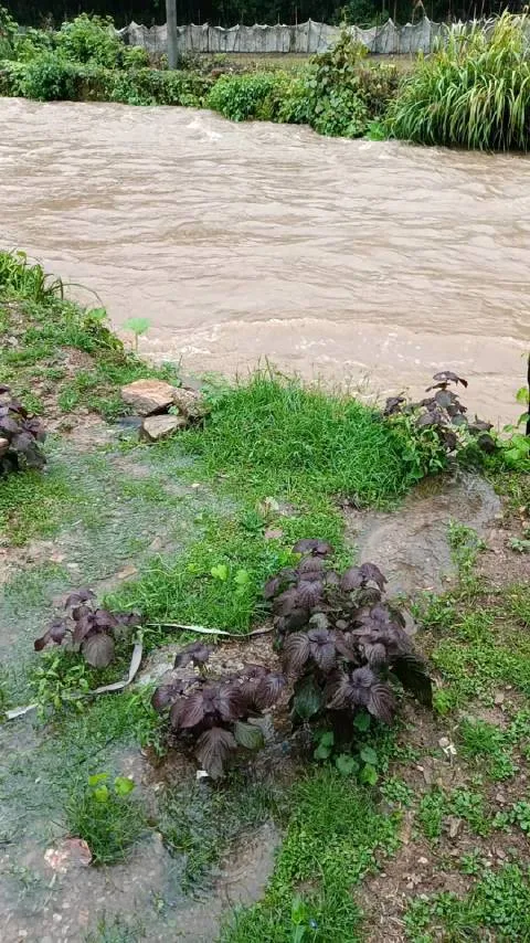 中國江西豪雨釀洪災 近50萬人遭殃、災損逾22億