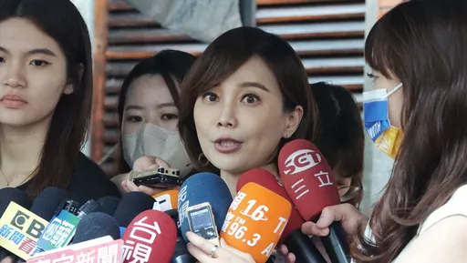 藍營質疑賴清德效忠哪國　美女發言人勸：不要為開而開「浪費社會資源」