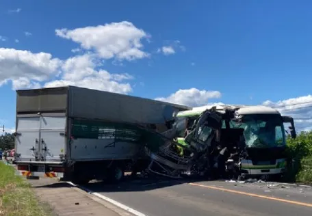 運豬車迎頭撞巴士 北海道車禍5死、豬隻飛出車外