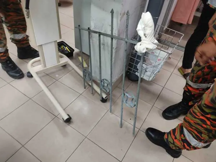 籬笆尖刺有20公分長。取自中國報