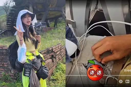企鵝妹直播「放送事故」!萬人目擊牛仔褲拉鍊沒拉 網驚問:是不是沒穿?