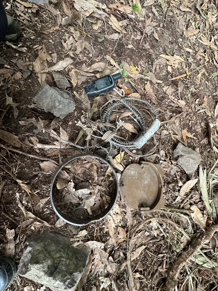 東勢林管處呼籲，勿私設一般大口徑套索陷阱，以免害台灣黑熊喪命。東勢林管處提供